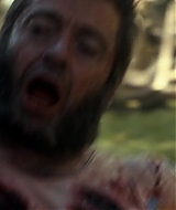 15414.jpg