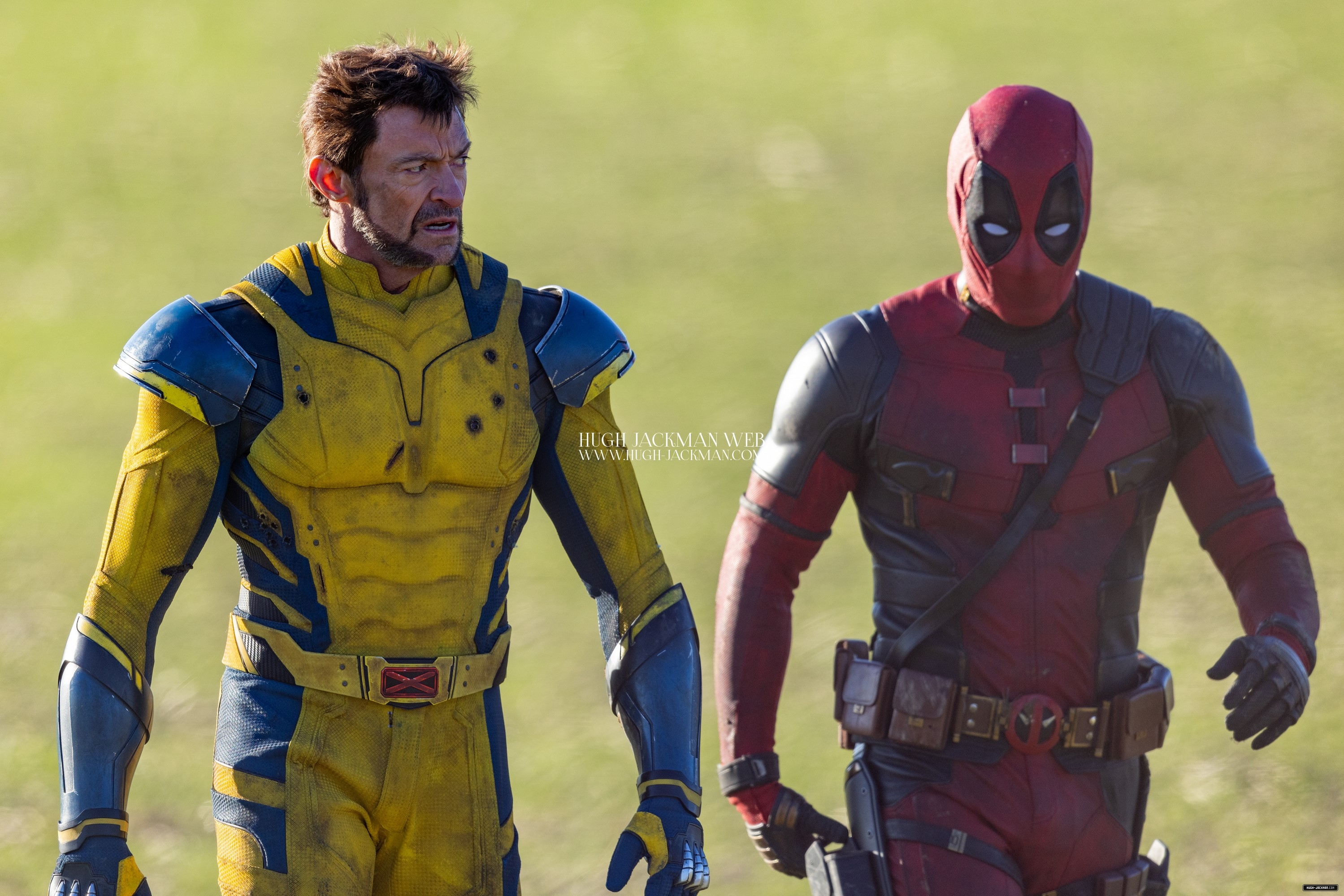 43.jpg
