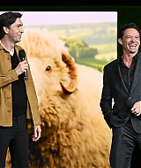49.jpg