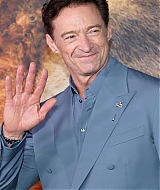 511.jpg