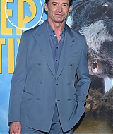 701.jpg